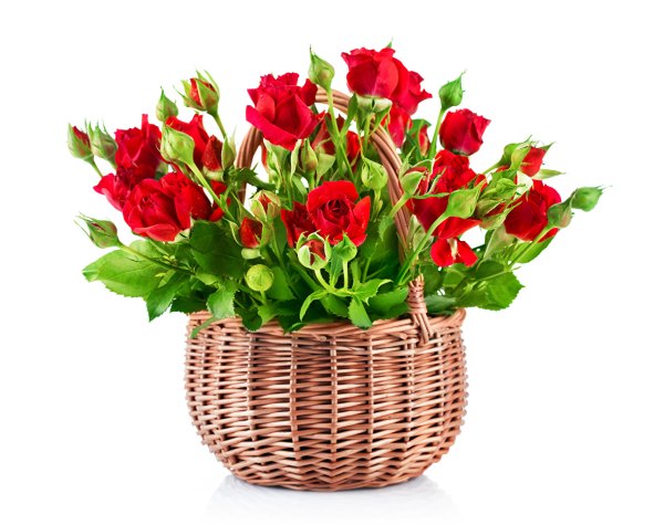 rosenkorb